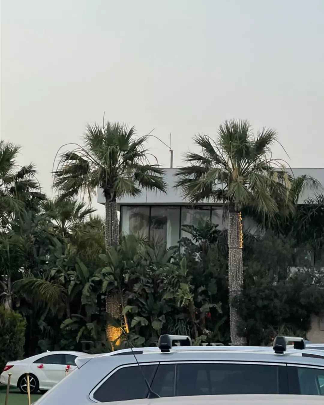 HighTunis — palms and modern architecture at dusk